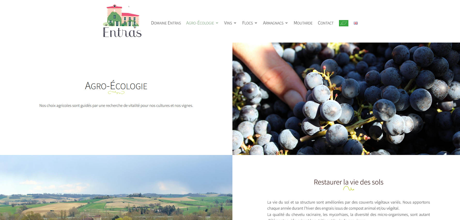 Page Agro écologie-Site-internet-vitrine-Domaine Entras-Gers-Julien Barbat-communication digitale